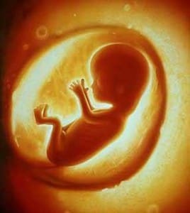 bebe-no-utero